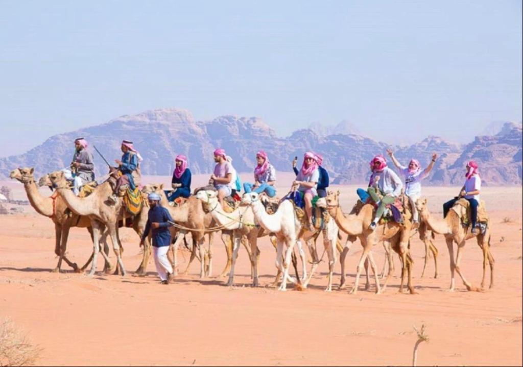 Готель Bedouin Adventure & Tours Ваді-Рам Екстер'єр фото
